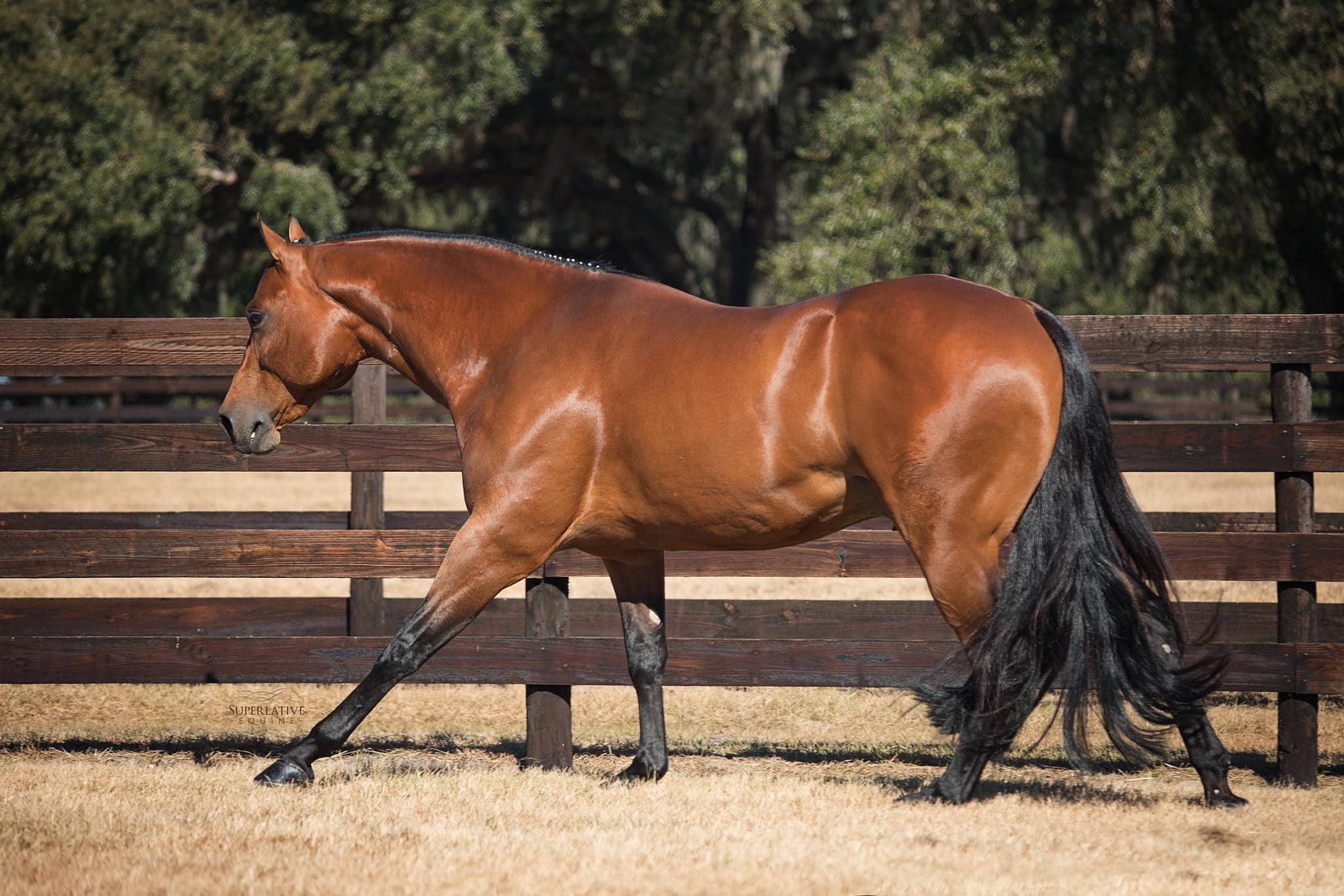 Top Gunn: A New Generation Takes Flight