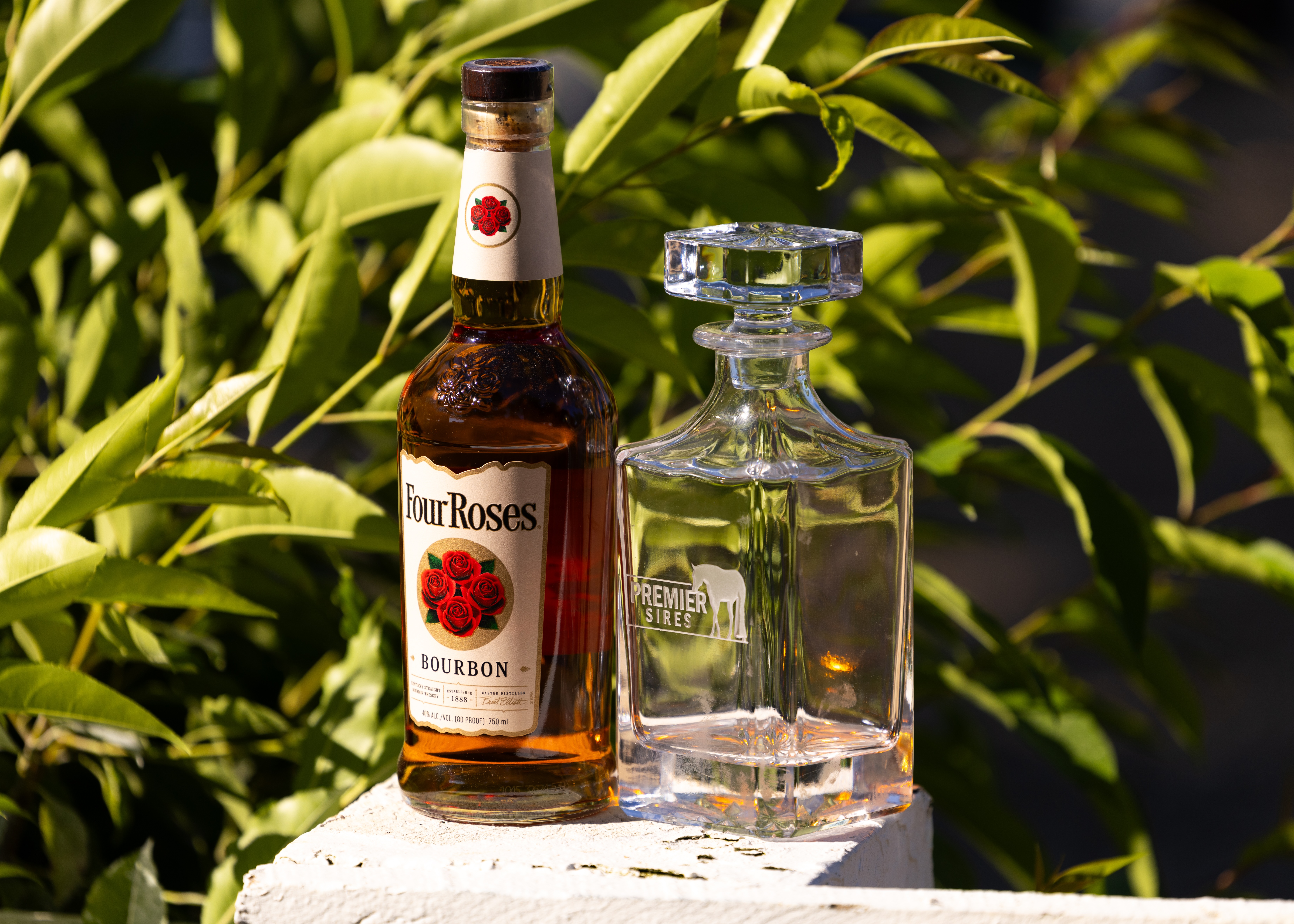 Last Call: Alcohol, Horse Shows, and the Choice to Step Away